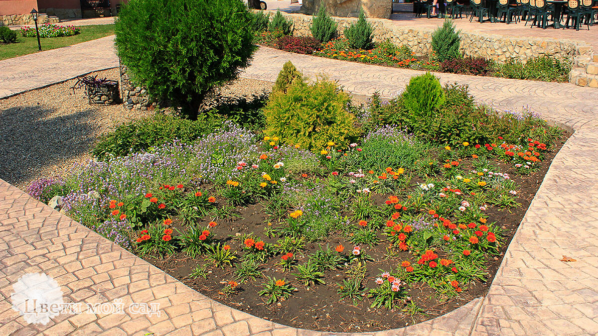 Вот в таком плачевном состоянии была эта клумба