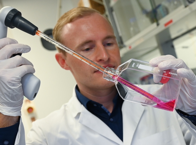 Что поменялось из-за эпидемии в Германии, какой стала жизнь немцев?