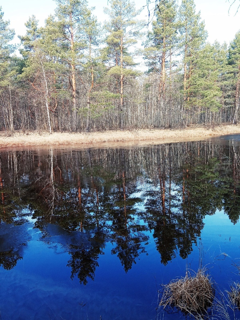 Мещёра. Апрель. р.Пра