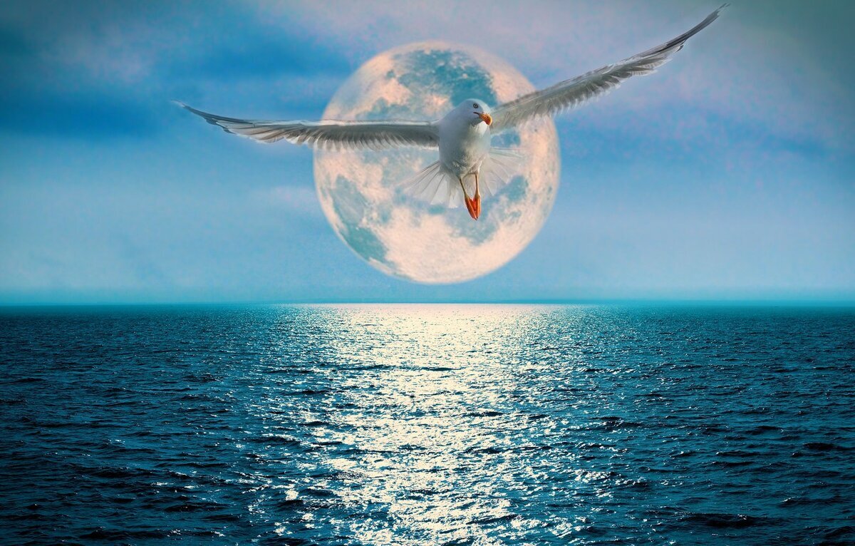 фото взято с открытого источника Яндекс Картинки