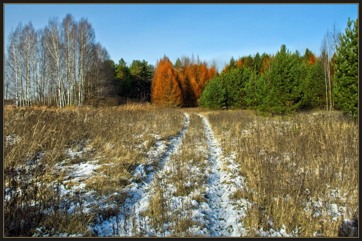 Вижу позднюю дорогу да порошу во полях. Деревенская дорога. Грязная дорога в поле. Зимняя пороша. Описание зимы.