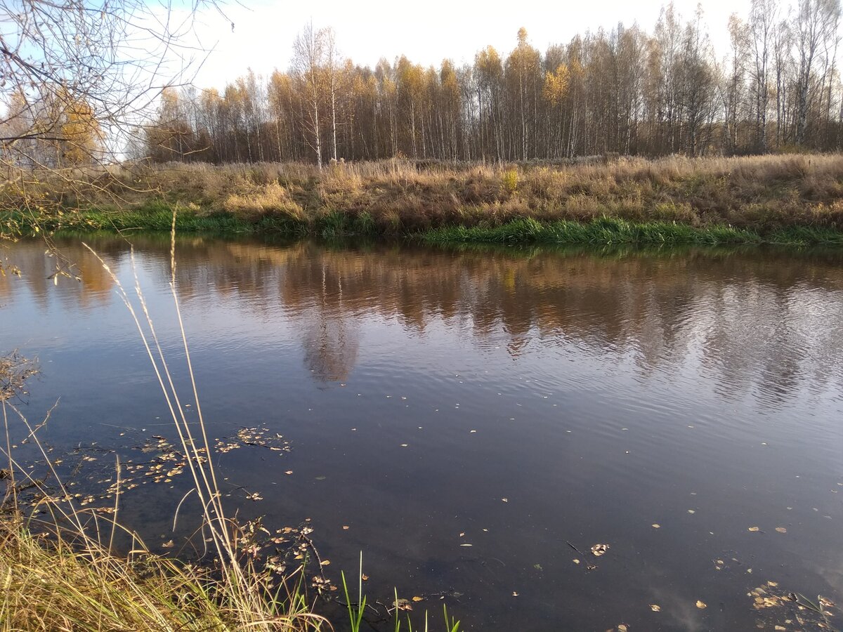 Пушкино клязьма индекс. Река Клязьма рыбалка. Плотины на реке Клязьма. Черкизово Клязьма. Клязьма Менделеево.