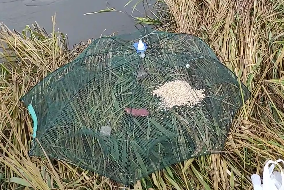 В качестве приманки говядина, макуха и геркулес