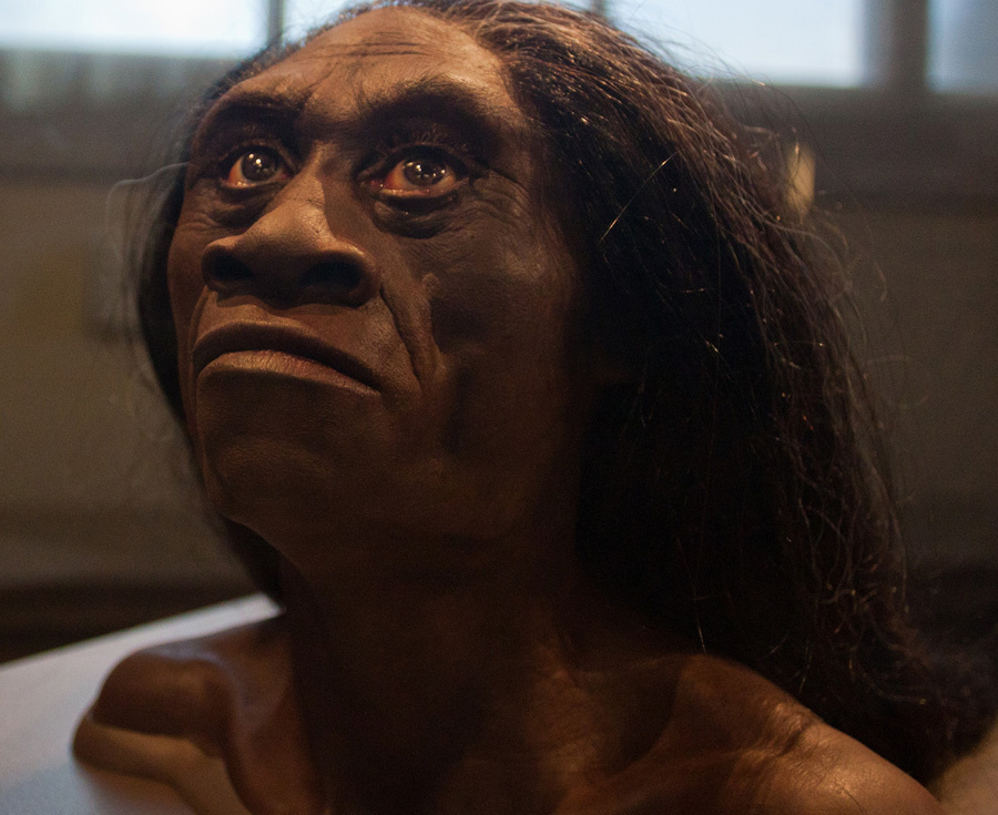 Человек флоресский