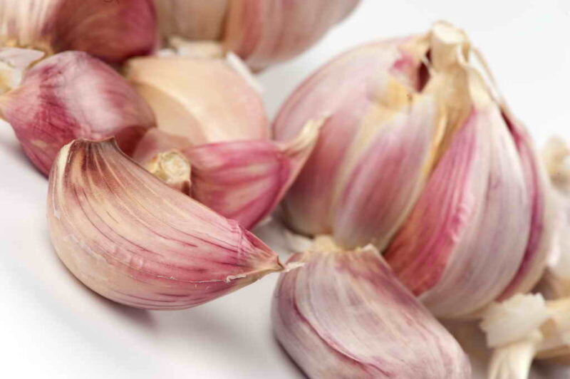 Чеснок. Иллюстрация для статьи используется по стандартной лицензии ©dachnyedela.ru