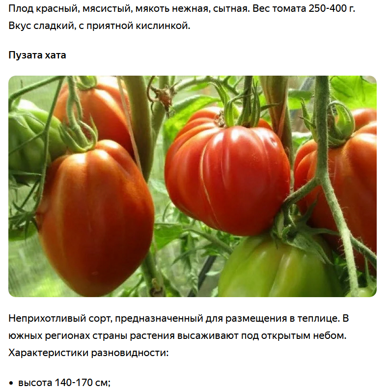 пузата хата описание сорта