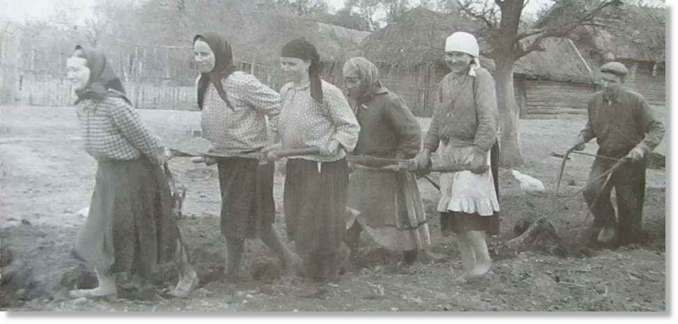 Голод 1946 1947 годов. Неурожай и голод в 1946