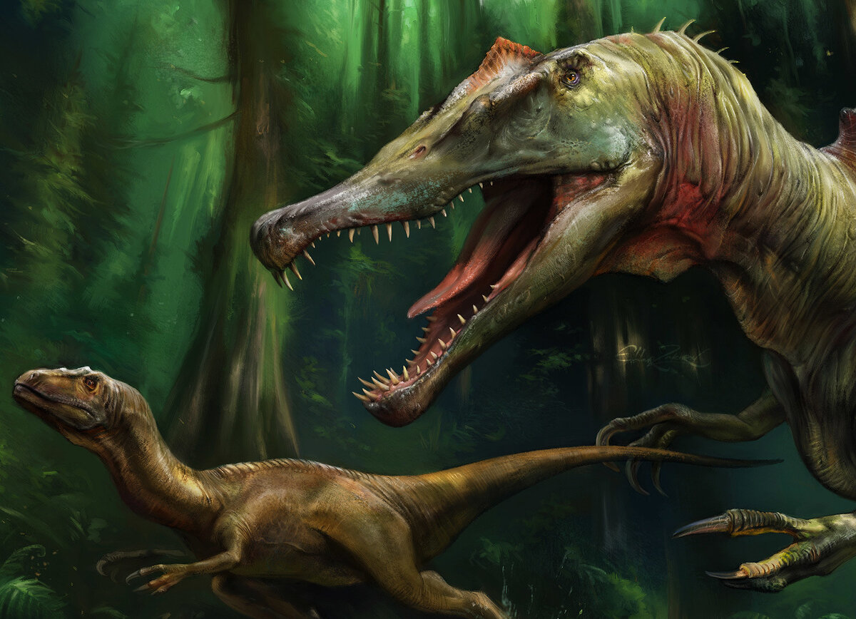 Тиранозавр Rex, найден в Китае до 2 мировой войны, осмелилась предположить, что это его череп в повести.Из открытых источников Интернета.