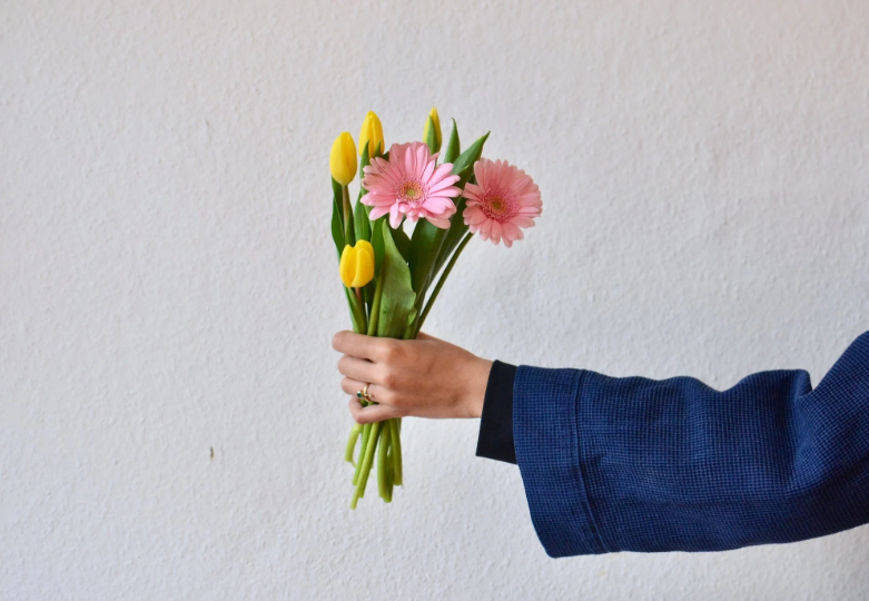 ГЕРБЕРЫ – УДИВИТЕЛЬНЫЕ ЦВЕТЫ