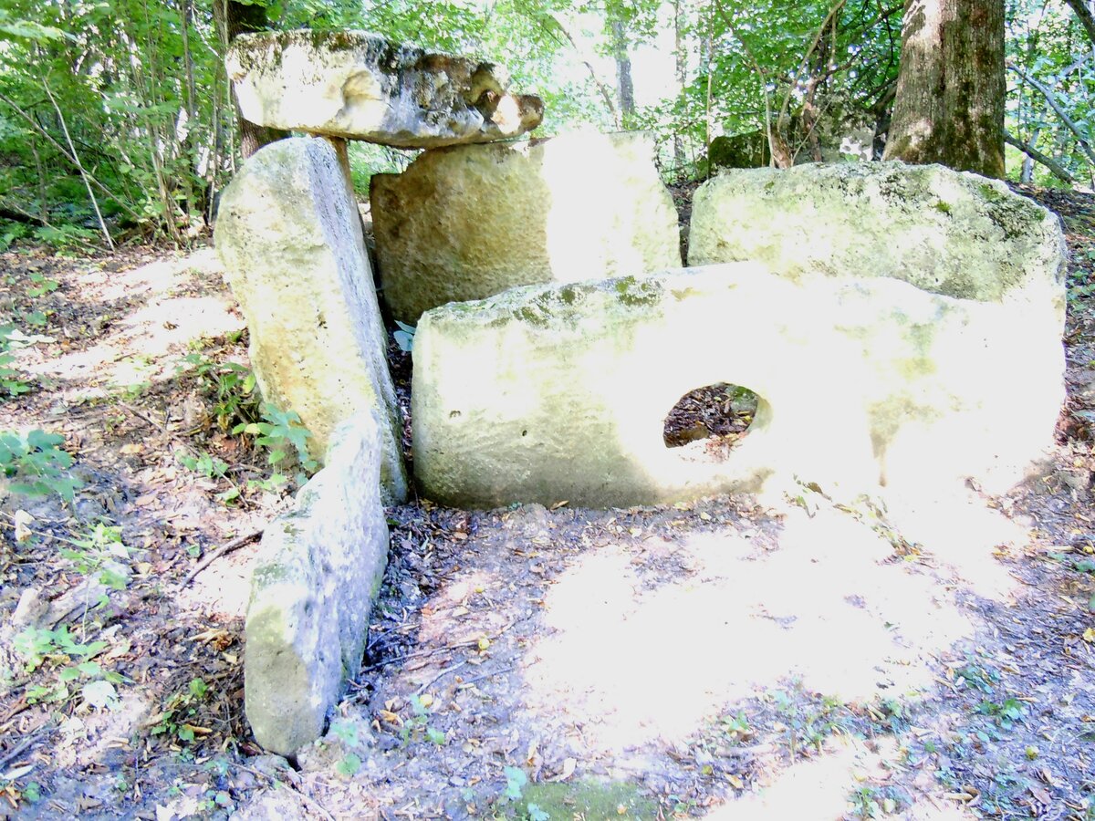 Вот как оправдывают лесорубы хаотичную прокладку ими глубоких, до глины, трелёвочных дорог через леса, поверх старых аккуратных грунтовок, ещё и разрушая при этом древние поселения и могильники разных-50