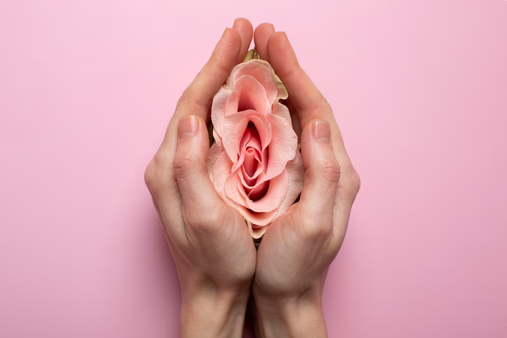 https://ru.freepik.com/free-photo/woman-holding-rose-in-hands-for-reproductive-system-visualization_36305693.htm#query=%D0%B3%D0%B8%D0%BD%D0%B5%D0%BA%D0%BE%D0%BB%D0%BE%D0%B3%D0%B8%D1%8F&position=0&from_view=search&track=sph