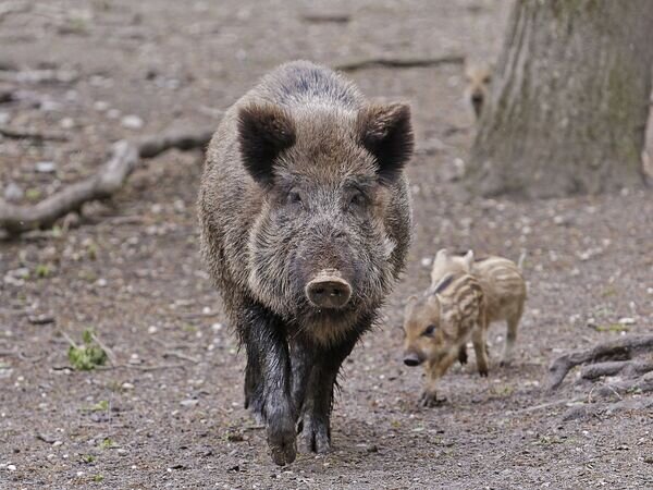    © CC BY-SA 2.0 / Zweer de Bruin