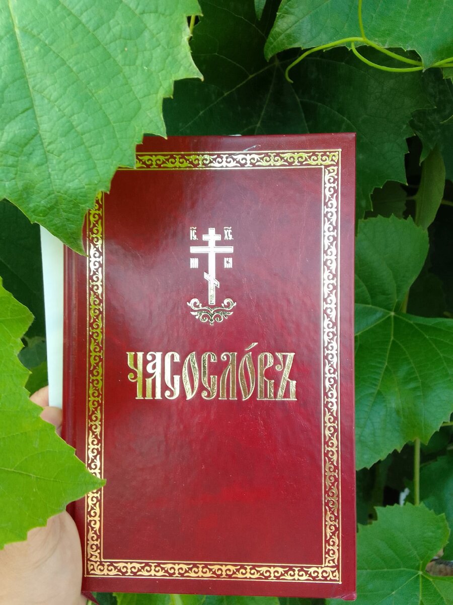 Часослов - первая книга, которой воспользовалась на клиросе. Букварь))