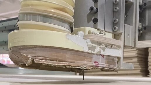 Дмитрий Смирнов. Основатель НПО «Движение - Жизнь» | ЧПУ Показываем как ...