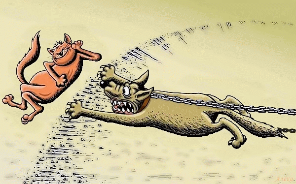 Юмористические иллюстрации. Карикатуры про котов. Шаржи на животных. Карикатура собака на цепи.