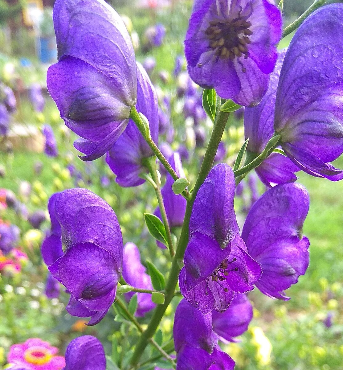 Фото автора статьи