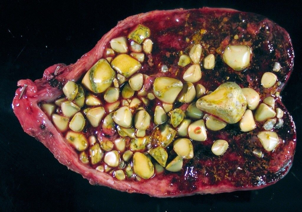 Иллюстрация взята с сайта яндекс Картинки