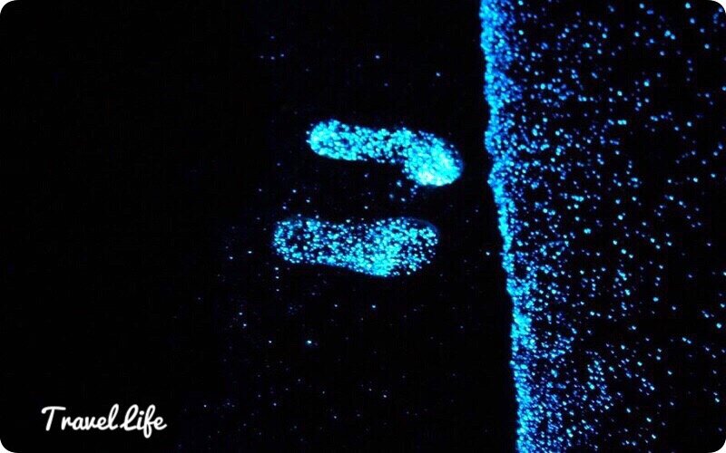 Звездные следы. Фото взято из открытых источников. 