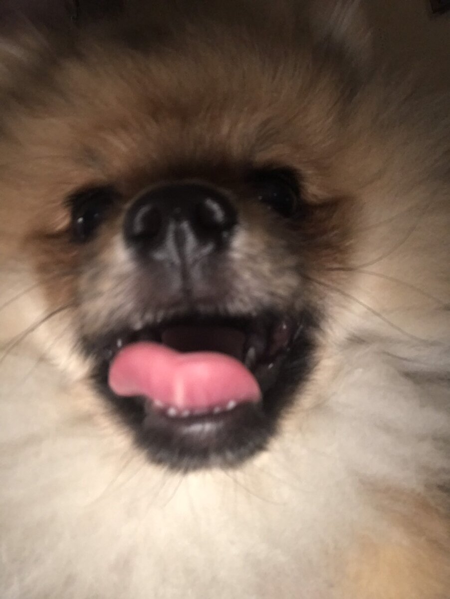 "Еда" - это сладкое слово!