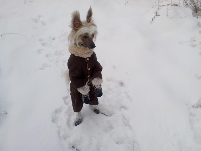 Фото с "Яндекс-Картинки"