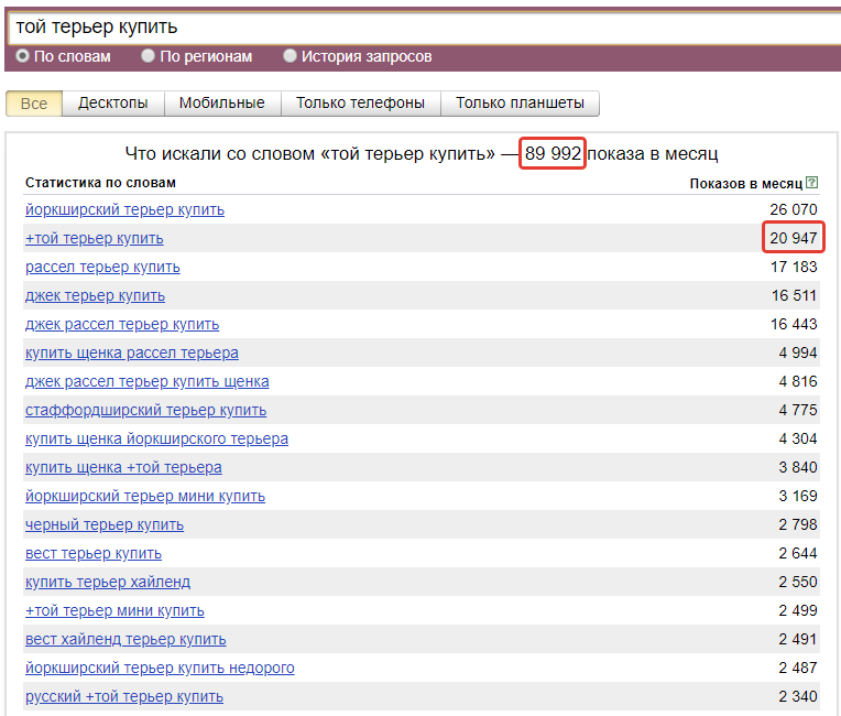 Лишь 21 из 90 вложенных запросов по фразе «той терьер купить» — на самом деле про него
