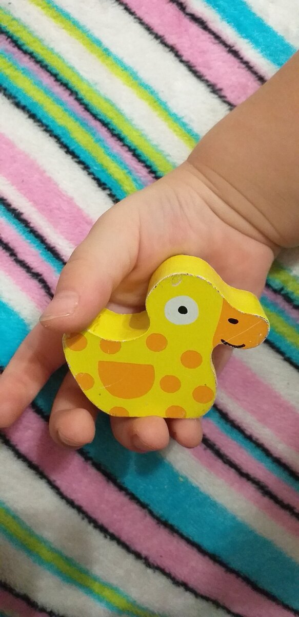 Та самая утка.