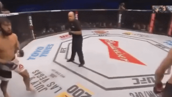 Ренато Мойкано против Зубайра Тухугова