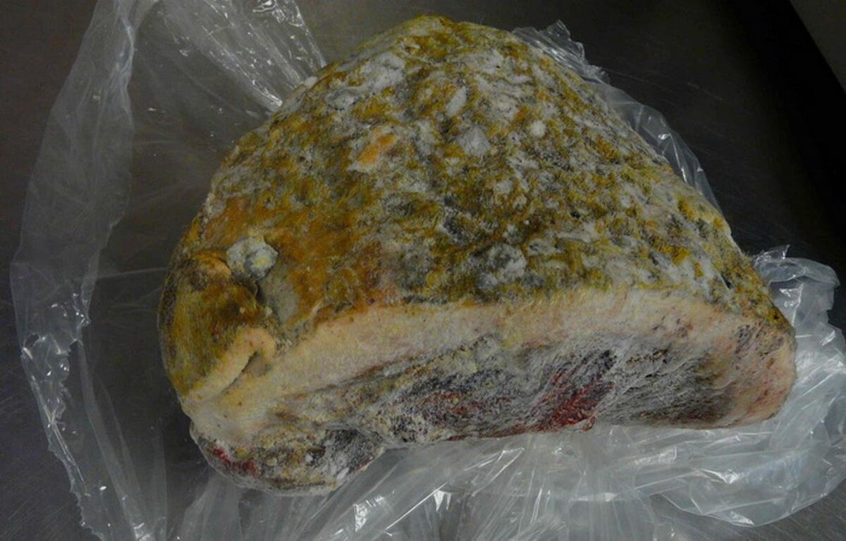 Так выглядит мороженый копальхен