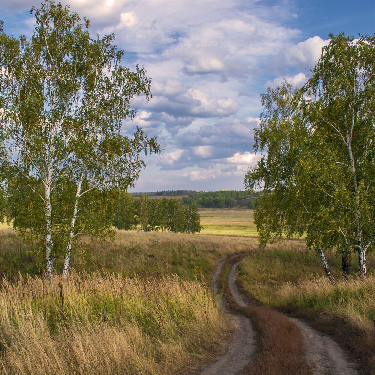 Объездная  проселочная дорога  сокращала  время. 