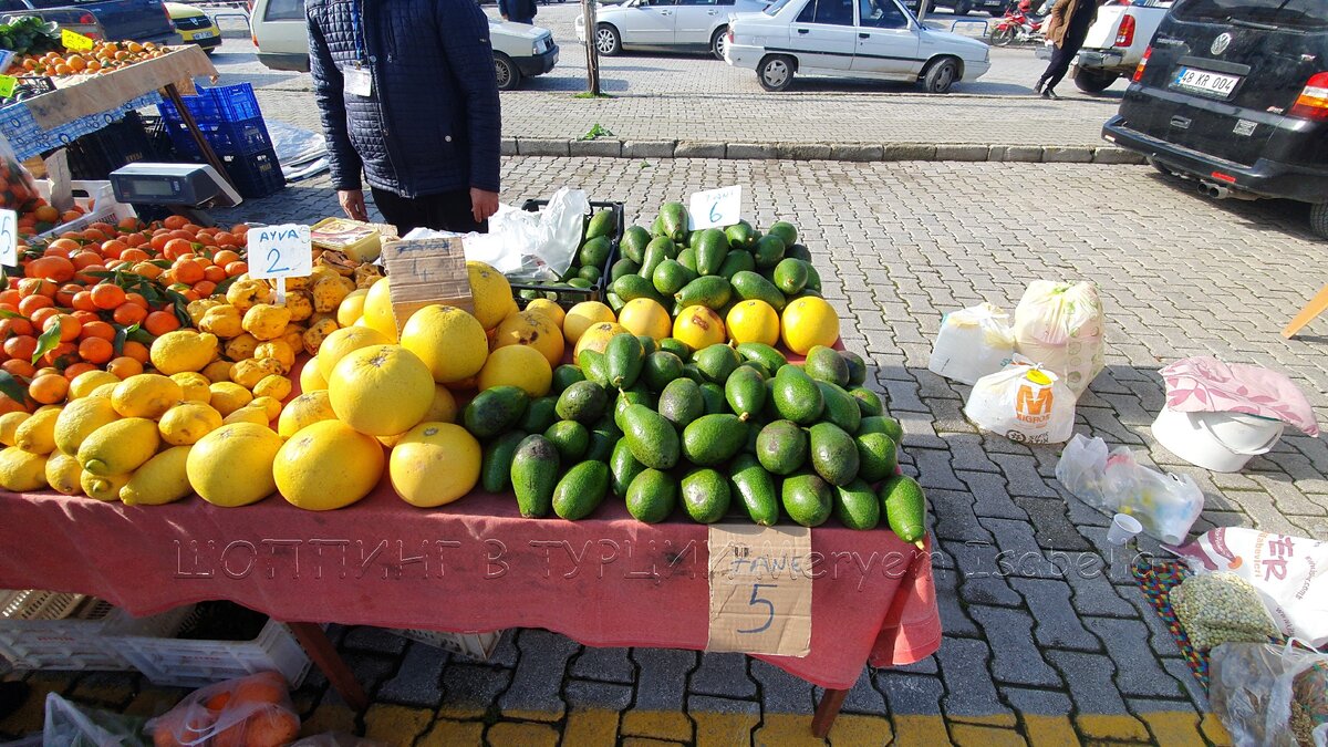 В январе все цитрусовые отдают урожай. От помело до кумкватов.