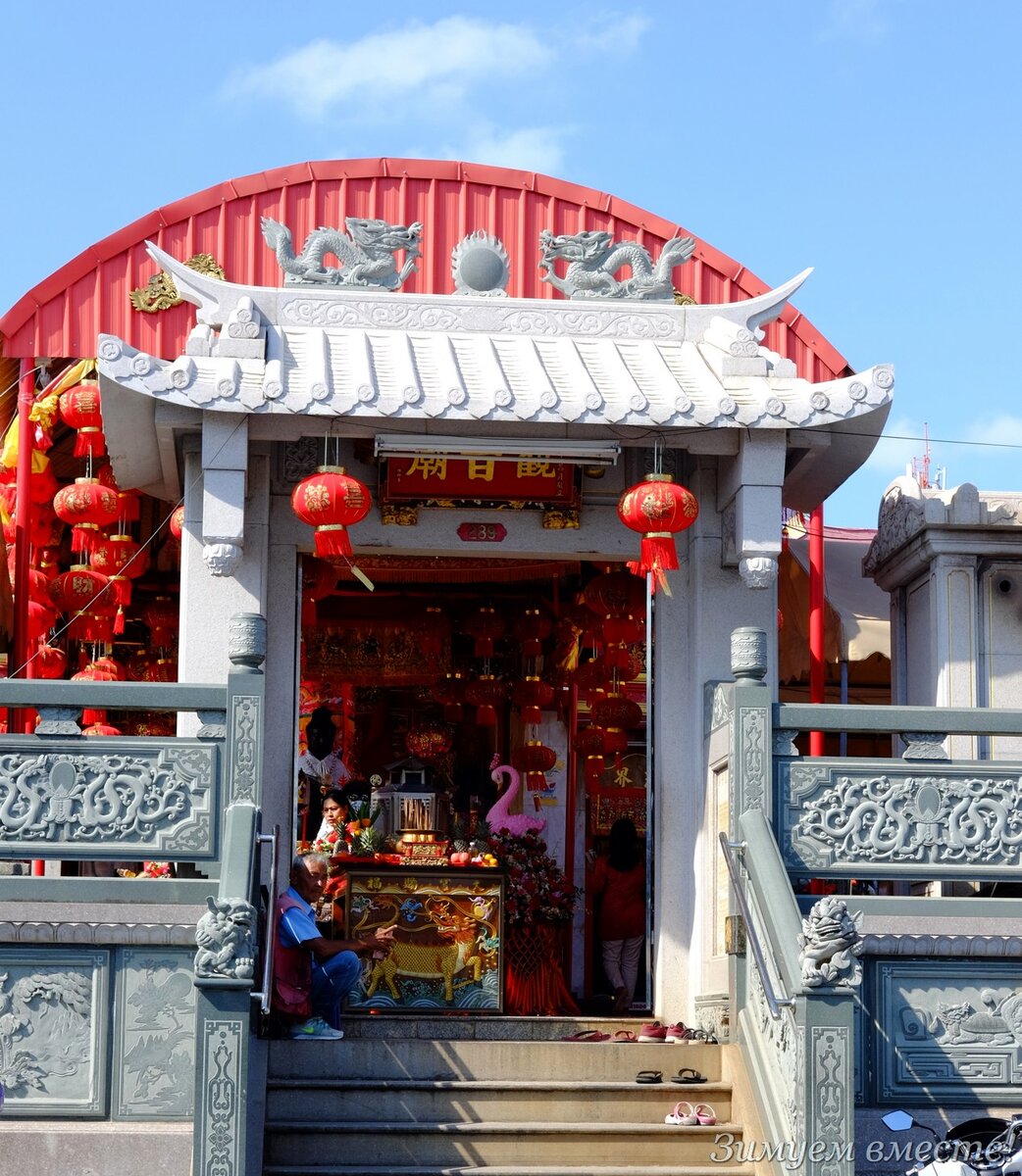 Лебеди с улицы видны!