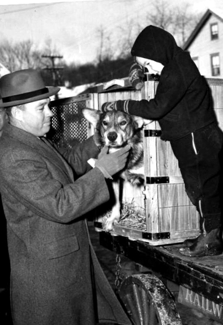 Чипс, по возвращению домой)