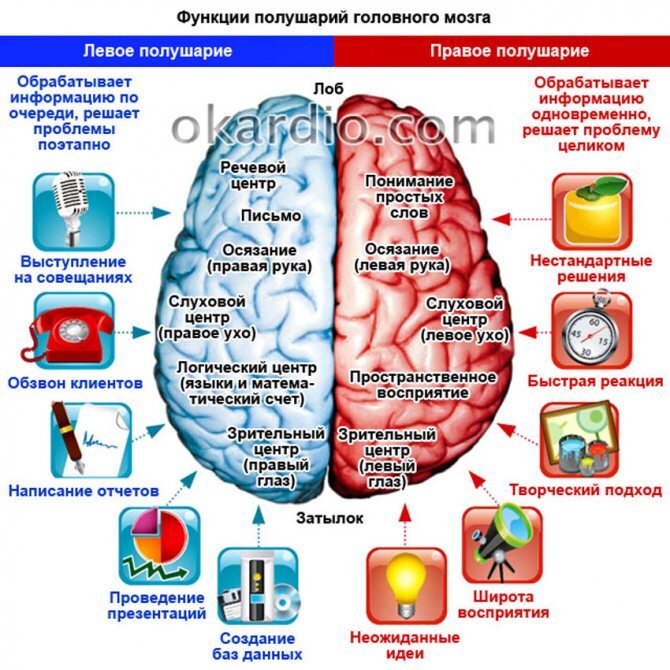 Механизм развития обширного инсульта