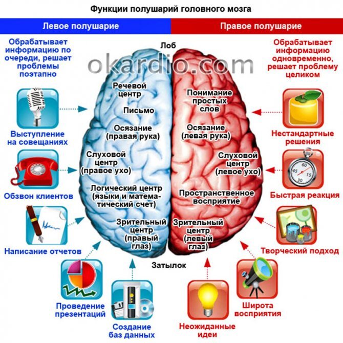 Левый ишемический инсульт. Парализация правого полушария при инсульте. Нарушение правое полушарие головного мозга. Поражение правого полушария мозга. Болит право полушария мощга.