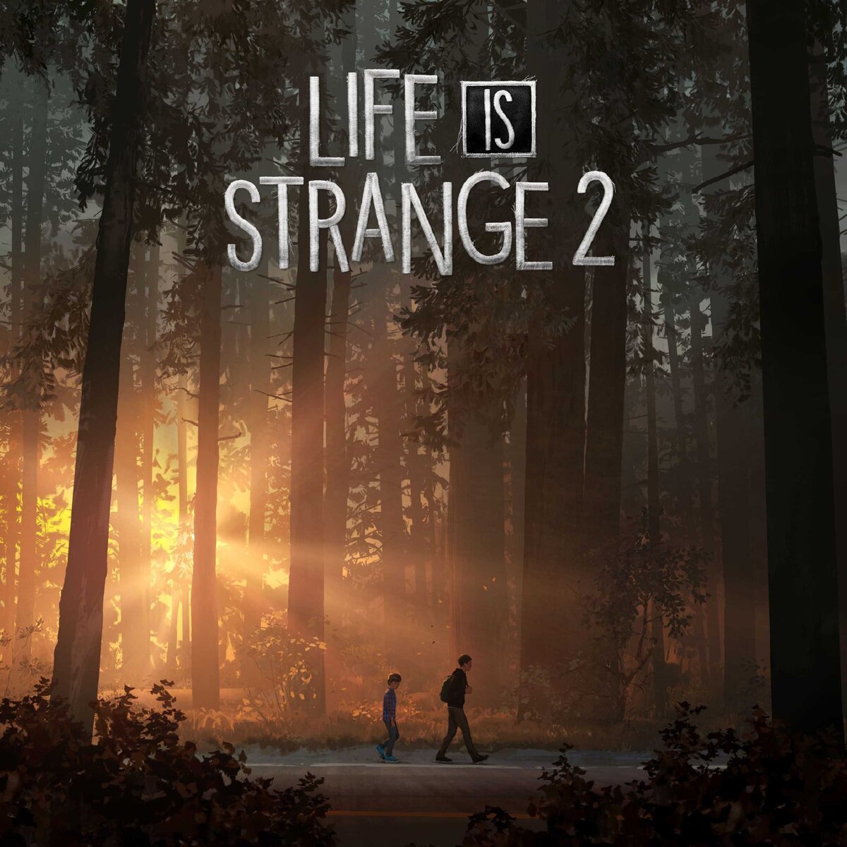 Life is strange 2. Почему ты обязан пройти. (без спойлеров) | Записи  просточка. | Дзен