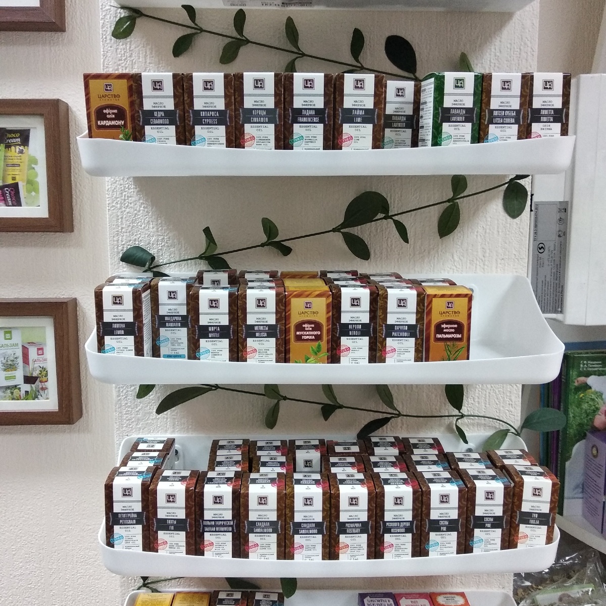 Эфирные масла, фото автора