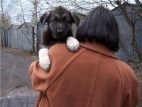Несу Раю домой, фотография с аватарки ВК