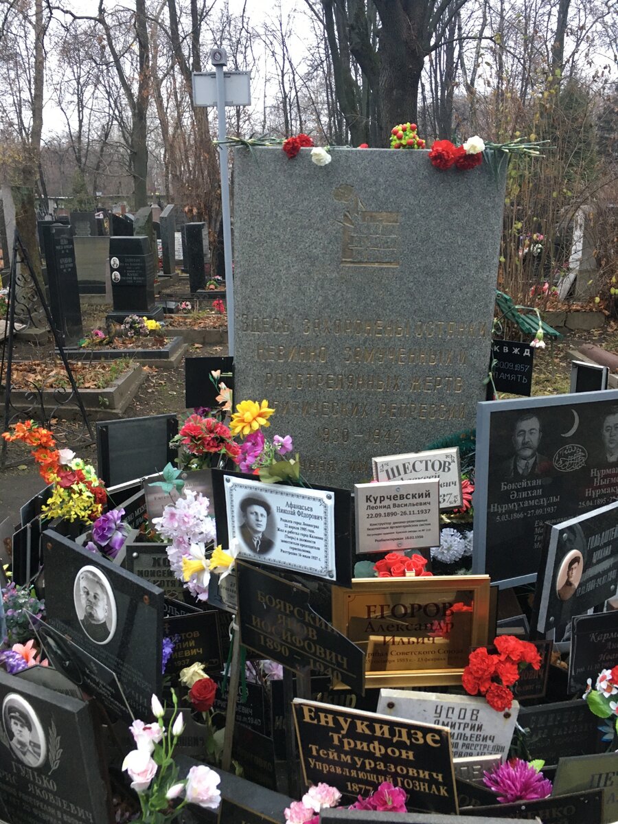 Енукидзе - двоюродный брат крестного отца жены Сталина - Надежды Аллилуевой