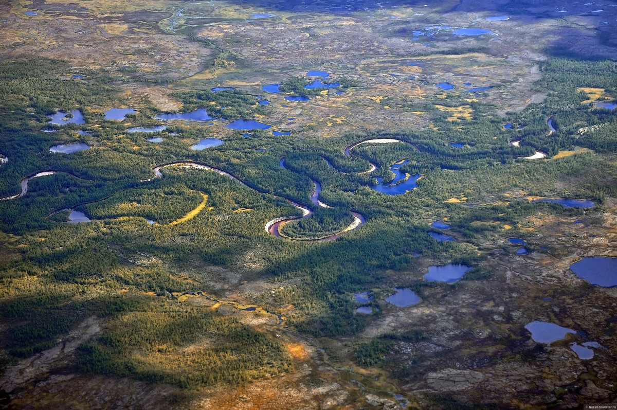 Тундра из альбома Ямало -ненецкий Автономный Округ. Россия. Ресурс - Яндекс Картинки