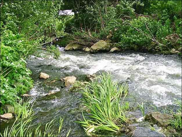 Перекаты на Верхнем Дону