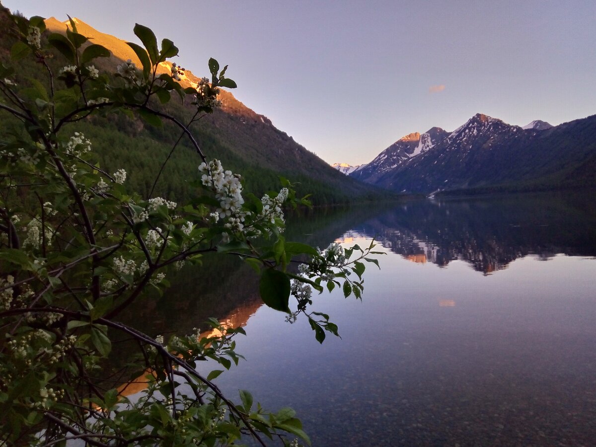 Нижнее Мультинское озеро в июне. Фото из архива автора.