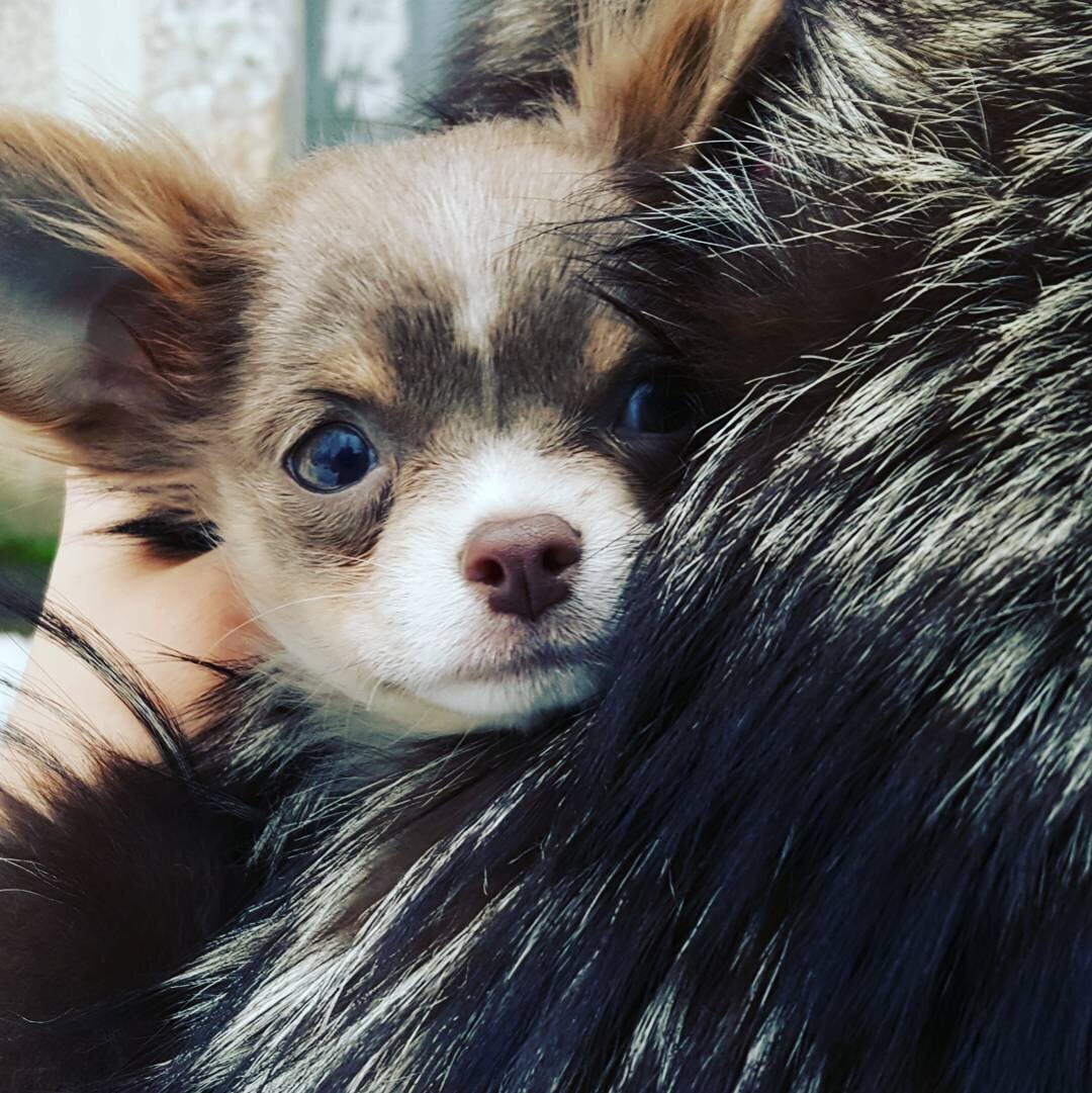 Наконец - то у меня появилась семья...