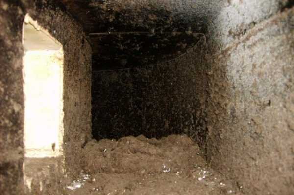 Фото взято из общего доступа в интернете.