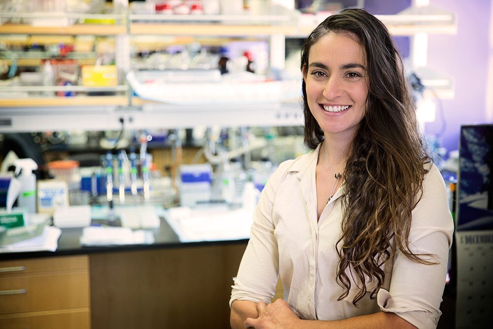 Фото взято на просторах интернета