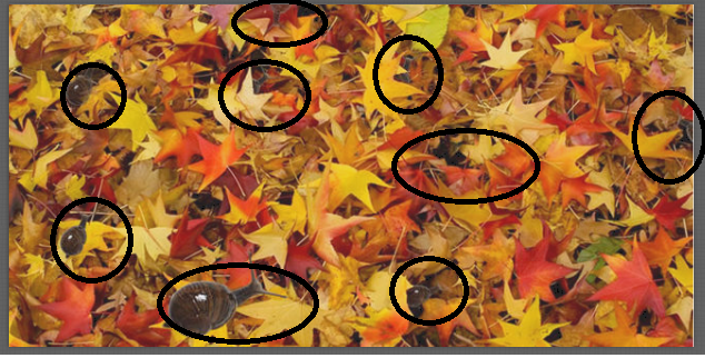 -2-2