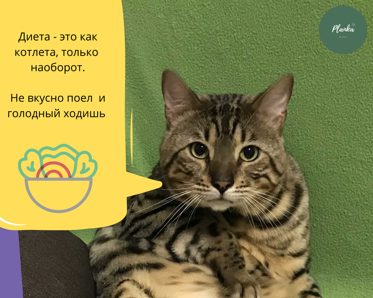 Диеты... шпинаты ...багеты ... котлеты... Котлеты? Отличная идея!  Фото: Planka