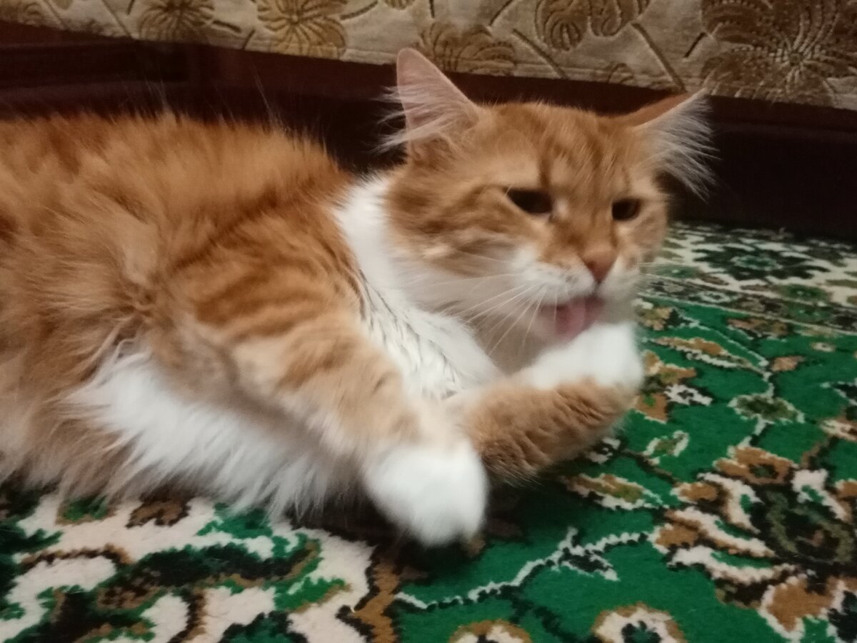 Из личного архива