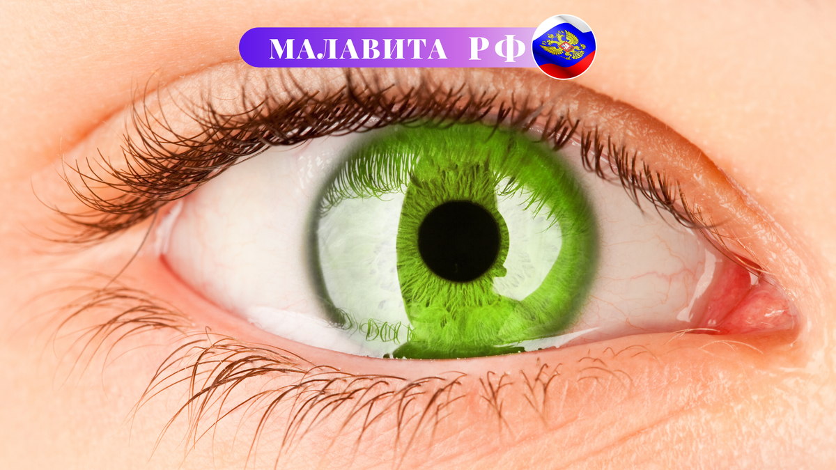 Наши сомнения – это наши предатели, они заставляют нас терять то, что мы, могли бы выиграть, если бы не боялись попробовать. Уильям Шекспир
