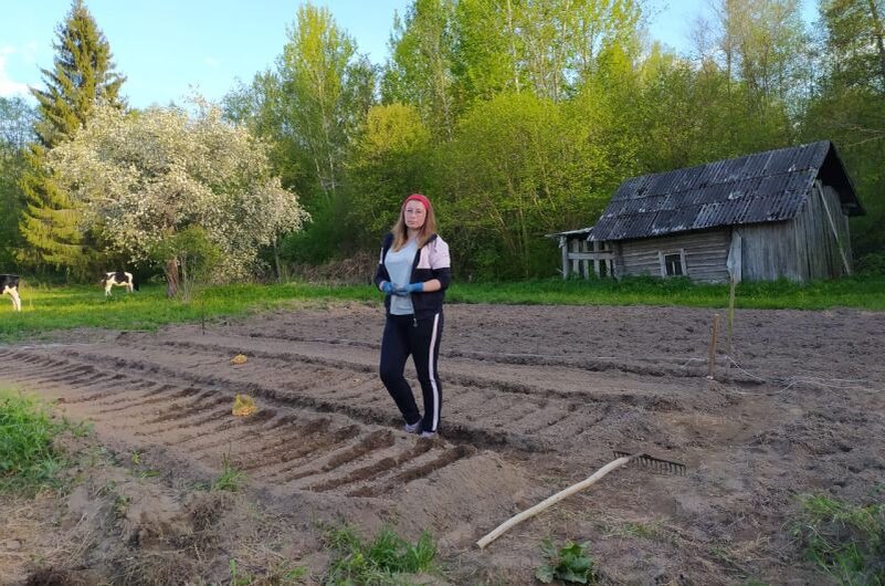 Вот так сажаю лук севок на грядки.