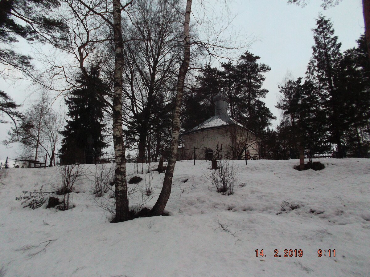 Кудина гора